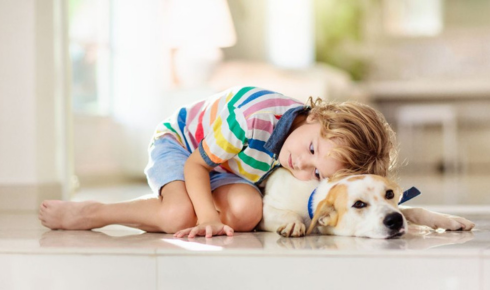 Choosing the Right Flooring Finish for Homes With Pets and Young Children