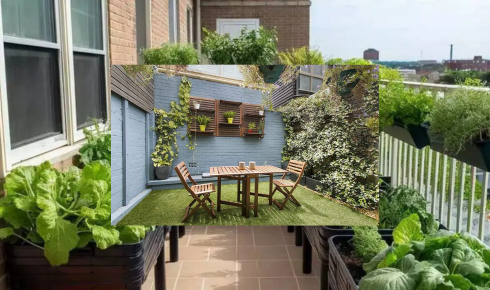  Low-Maintenance Balcony Plants for People Who Often Forget to Water