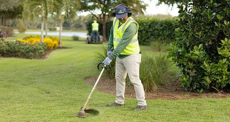 landscaping services